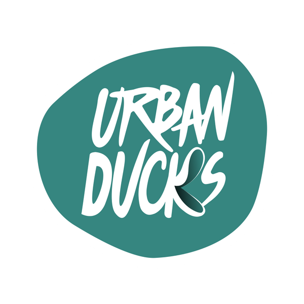 Urban Ducks