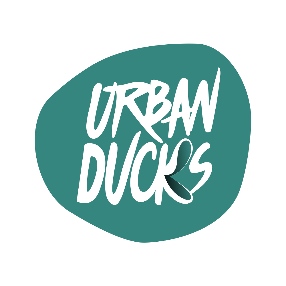 Urban Ducks